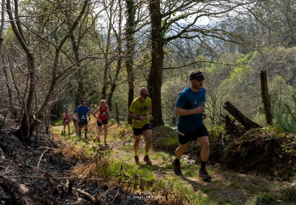 Reforesta el Trail del Tamburieḷḷo's header image