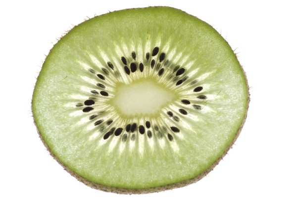 Kiwis ecològics de proximitat's header image