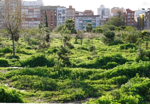 Bosque Urbano Málaga's header image