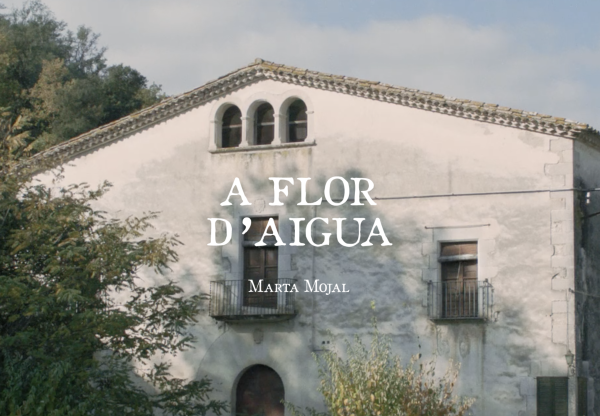 A FLOR D'AIGUA's header image