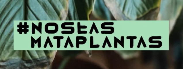 captura-de-pantalla-2025-06-07-002703.png