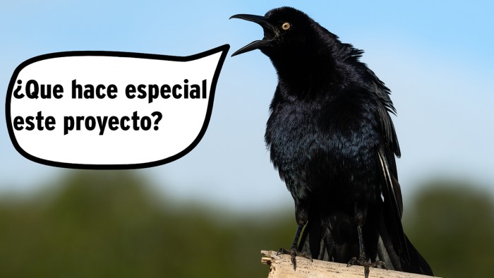 que-hace-especial-este-proyecto-4.jpg