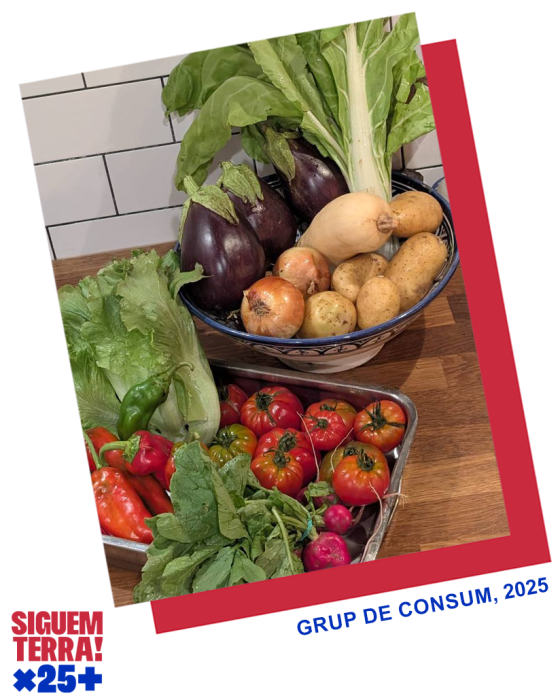 100-grup-de-consum-2025.png
