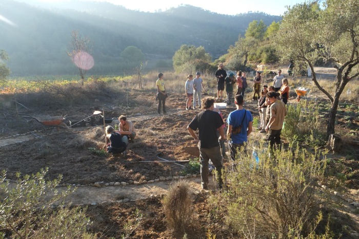 Agricultura Regenerativa!