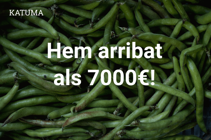 Ja hem arribat als 7000€!