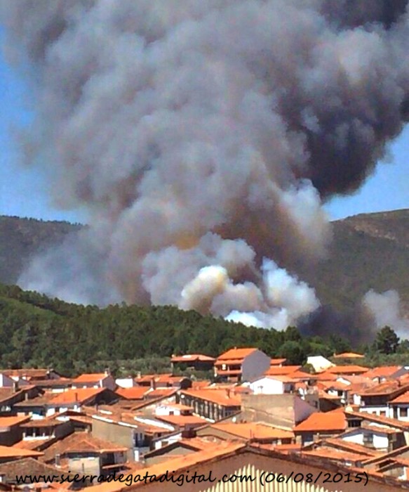 incendio-gata2.jpg